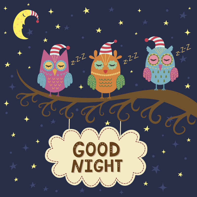 Uykulu baykuş üçlüsü Hayvan pvc halı - TenStickers