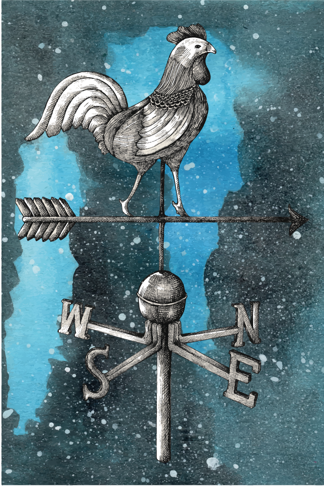 Civciv hayvan halı ile rüzgar gülü yıldızlı gece - TenStickers