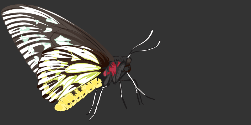 Gerçekçi detaylı sarı kelebek yatak odası halısı - TenStickers