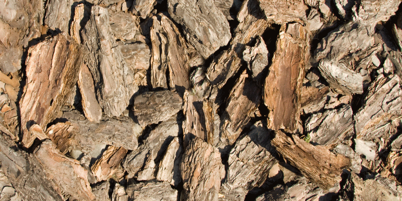 Doğal kabuk tasarımı ahşap etkisi pvc halı - TenStickers