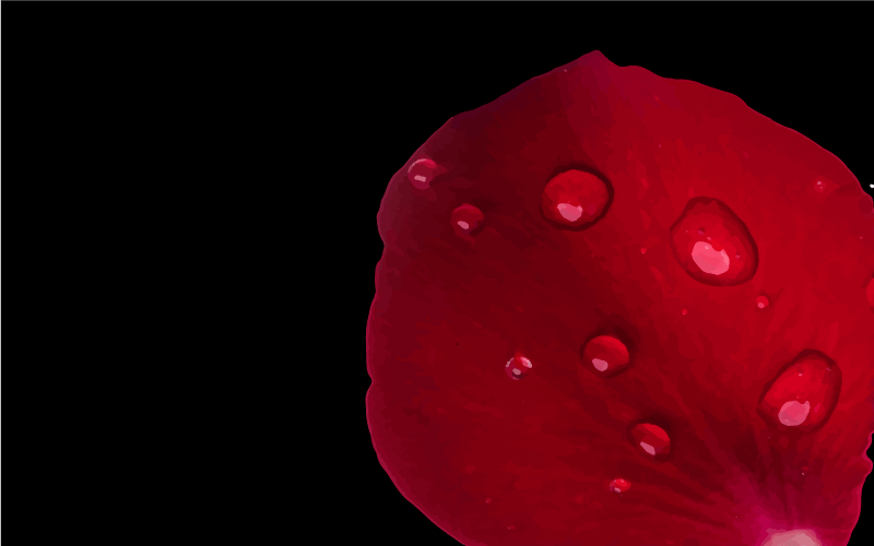 Kırmızı yapraklı cazibe oturma odası pvc halı - TenStickers