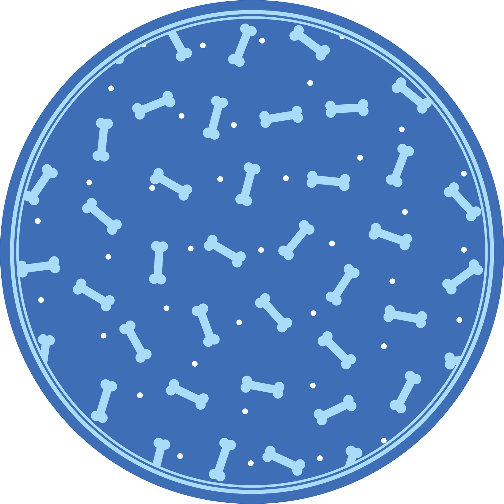 Kemik desen oyunu yuvarlak pvc halı - TenStickers