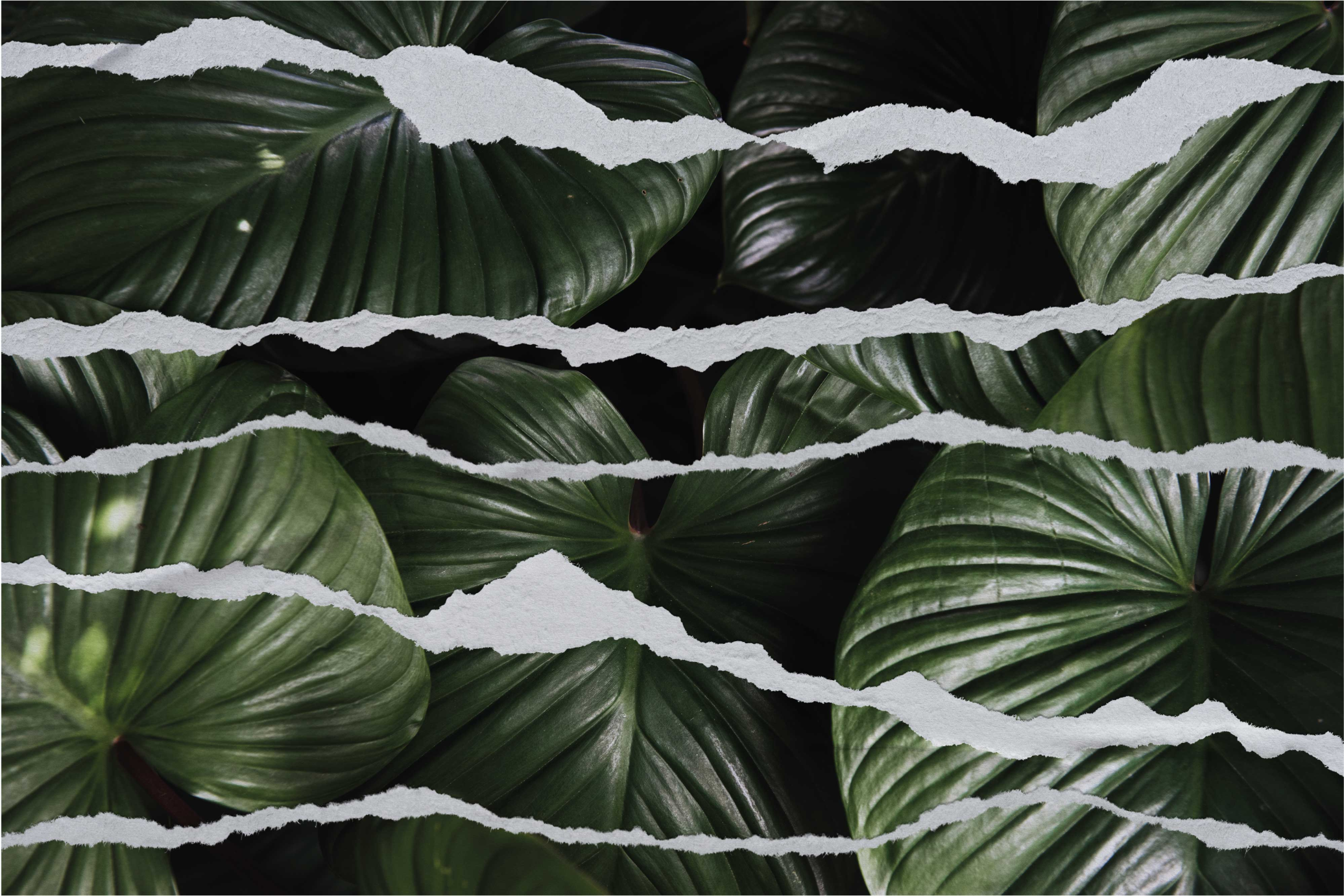 Yırtık yaprak deseni doğa pvc halı - TenStickers