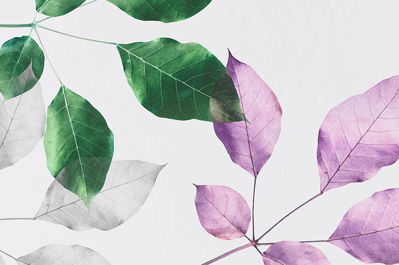 Yapraklı botanik baskılar çiçekler ve bitkiler pvc halı - TenStickers