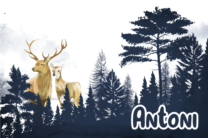 Orman faunası silueti isimlerle pvc halı - TenStickers