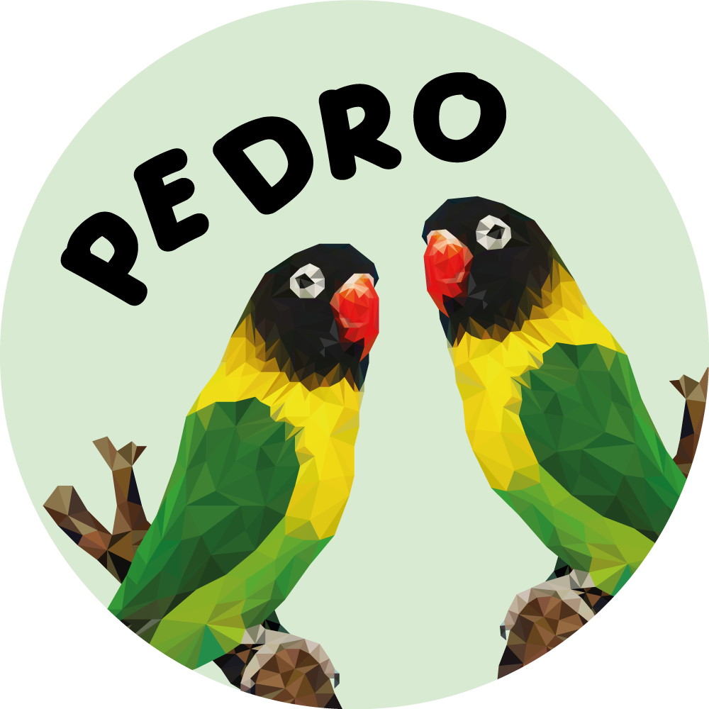 Geometrik-hayvanlar kuş çifti özel mat - TenStickers