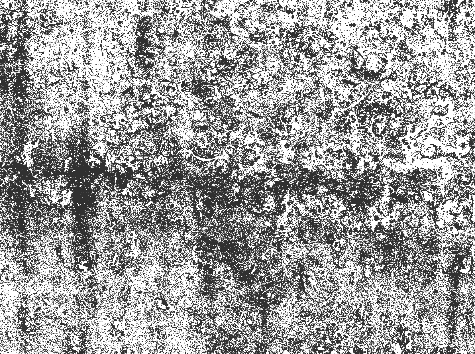 Soluk gri yemek odasi pvc halı - TenStickers