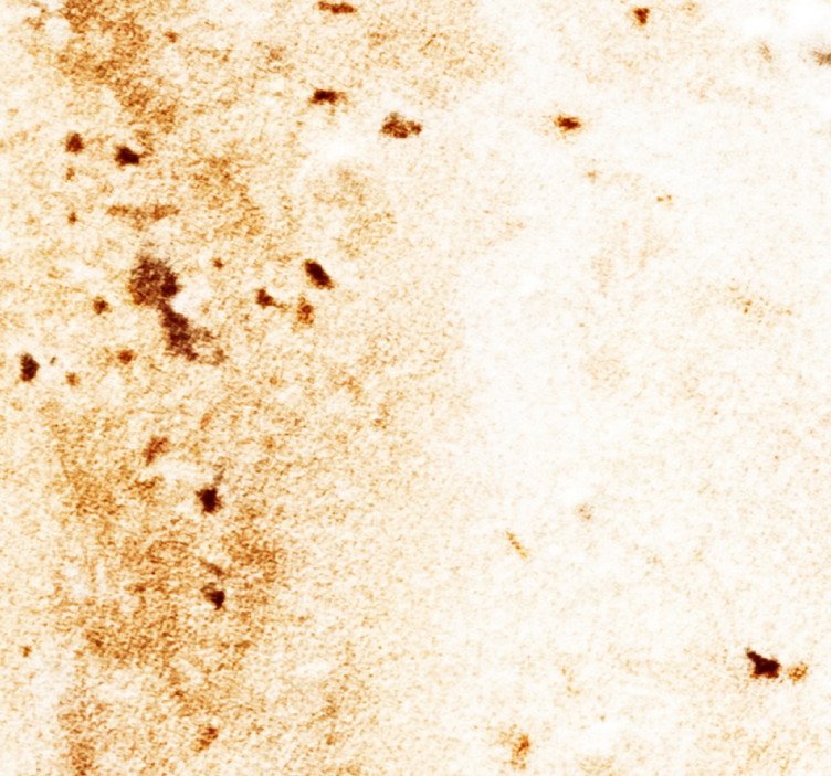 Yumuşak mermer doku mermer duvar kağıdı - TenStickers