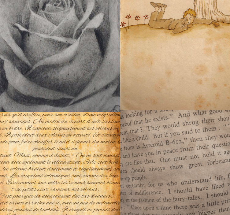 Küçük prens - aşk mesajı duvar kağıdı - TenStickers