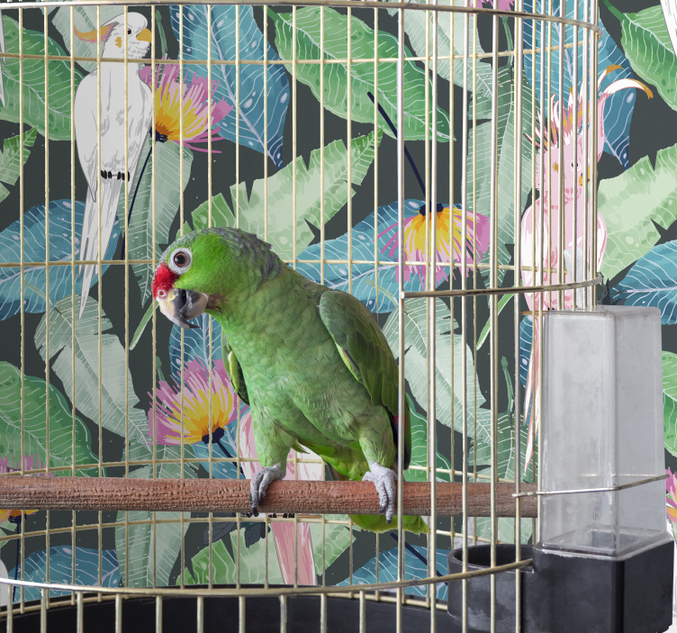 Tropik kuşlar ve yapraklar kuşlar duvar kağıdı - TenStickers